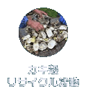 カキ殻リサイクル活動