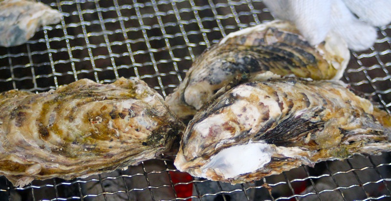 かき小屋酒田港