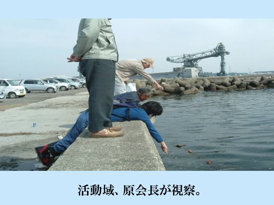 酒田北港の活動区域